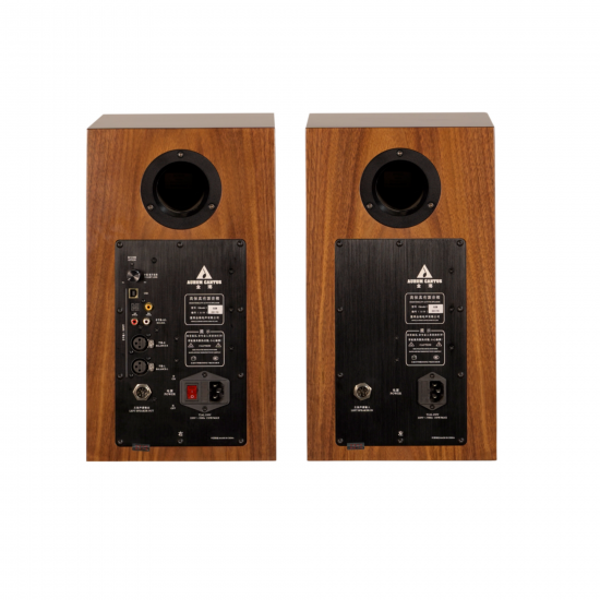 BZ-02 AURUM CANTUS A6M Pneumatic Tweeter Electronic Crossover Bi-amp HiFi High Fidelity Active Speaker