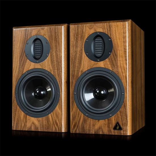 BZ-02 AURUM CANTUS A6M Pneumatic Tweeter Electronic Crossover Bi-amp HiFi High Fidelity Active Speaker