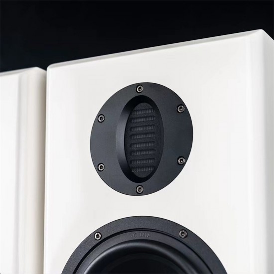 BZ-02 AURUM CANTUS A6M Pneumatic Tweeter Electronic Crossover Bi-amp HiFi High Fidelity Active Speaker