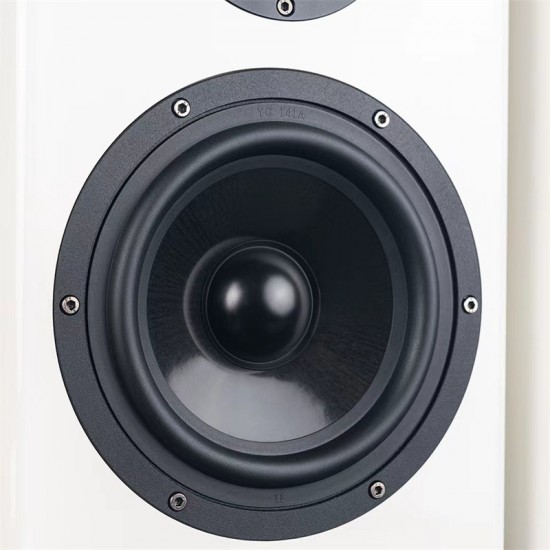 BZ-02 AURUM CANTUS A6M Pneumatic Tweeter Electronic Crossover Bi-amp HiFi High Fidelity Active Speaker