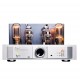 Cayin A-845 Plus Hi-end HiFi Integrated Power Tube Amplifier Dual Mode 300B Push Customized 845 Class A 25W*2 Very Low Noise