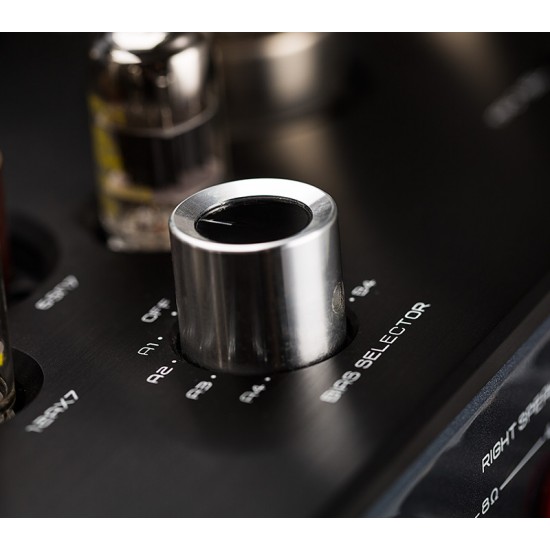 Cayin M-52T MK2 Tube Integrated/Power Amplifier 2 Mode Selection EL34/KT88EH6550EH Can be Used RCA/Pre XLR input TR/UL 80W*2