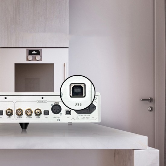 DN-11 Denafrips GAIA DDC Interface Digital USB coaxial AES EBU OCXO Crystal Oscillator Clock input HDMI IIS I2S RJ45 Output