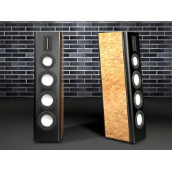 DX 2806 HiFi hi-end speaker doppio 8-inch all-metallo di alluminio-magnesio piastra altoparlante