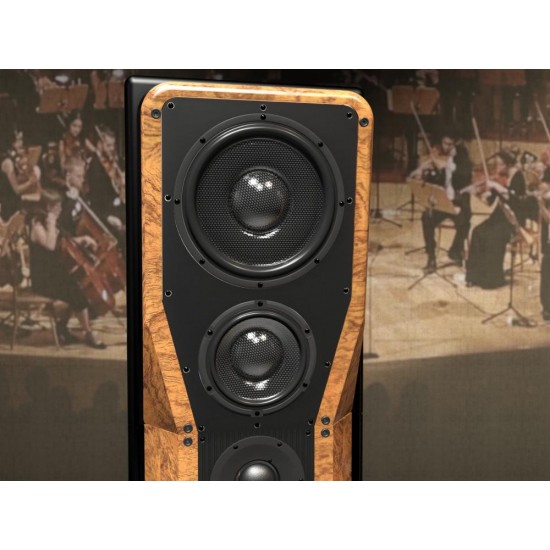 DX 7806 M2 DX 71006 DX 71206 HiFi hi-end altoparlante HIEND livello Morel Cupola Alto Mundorf Pneumatico Treble altoparlante