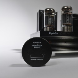 EP65 audiophile 6550x4 vacuum tube amplifier HiFi audio push-pull integrated amp with remote and protective cover