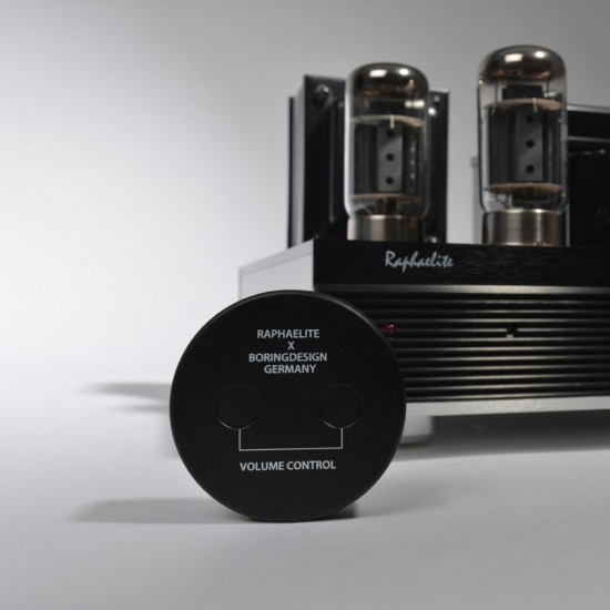 EP65 audiophile 6550x4 vacuum tube amplifier HiFi audio push-pull integrated amp with remote and protective cover