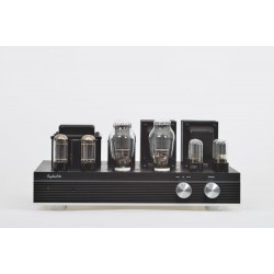 ES30 Single ended stereo tube Amp Hi-Fi Integrated amplifier 300B Vacuum tube with protective cover