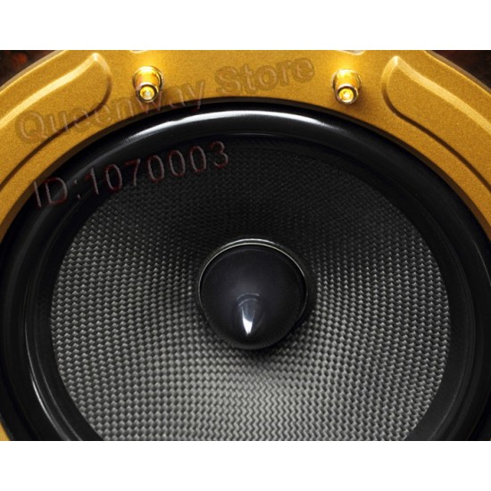 HIVI Swans F8 Home Theater Antique HiFi Home Theater System Front F8 Center F10C Rear F10R Side F10R Sub15F F10M Passive Speaker