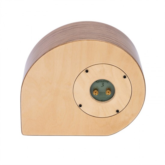 LS-20 Lii Song 3 Inch Metal Full Range | Warm Sound and Deep woofer | Raindrop-3 Passive Desk Speaker 1Pair