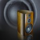 M-009 HiFi Bookshelf 10 Inch Speakers A Pair Of Home Floor Audio 10 Inch woofer Passive Three-way
