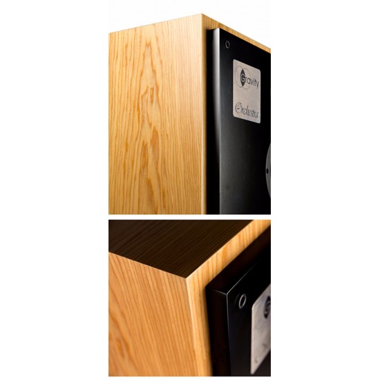 N-001 Gravity-acoustic Orchestra 11 inch Three-way HiFi bookshelf speaker Eton 28S tweeter+5-512 midrange+11-612 woofer speaker