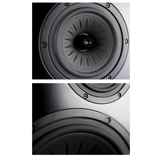 N-001 Gravity-acoustic Orchestra 11 inch Three-way HiFi bookshelf speaker Eton 28S tweeter+5-512 midrange+11-612 woofer speaker