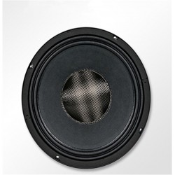 PA-011 Professional Audio 10 Inch Middle woofer Speaker Unit 75mm NdFeB 24.5*13P 8 ohm 350W 99dB