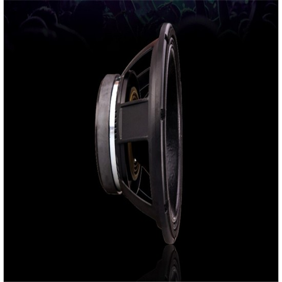 PA-025 Professional Audio 12 Inch Middle bass Woofer Speaker Unit 75mm NdFeB131 8 ohm 350W 98.5dB