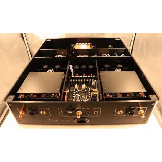 R2R R-8HE Fully Balance Discrete R2R Resistor Ladders Decoder DSD512 DXD DAC PCM384K Amanero USB FPGA Femtosecond TCXOs