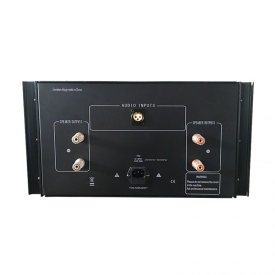 W-007 WENTINS ZG1550 fully balanced qMono 550W power amplifier 220V 50Hz home theater HIFI amplifier