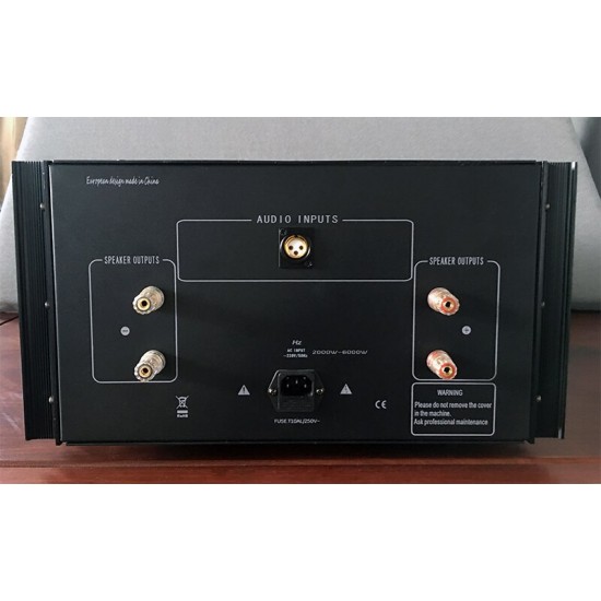 W-007 WENTINS ZG1550 fully balanced qMono 550W power amplifier 220V 50Hz home theater HIFI amplifier