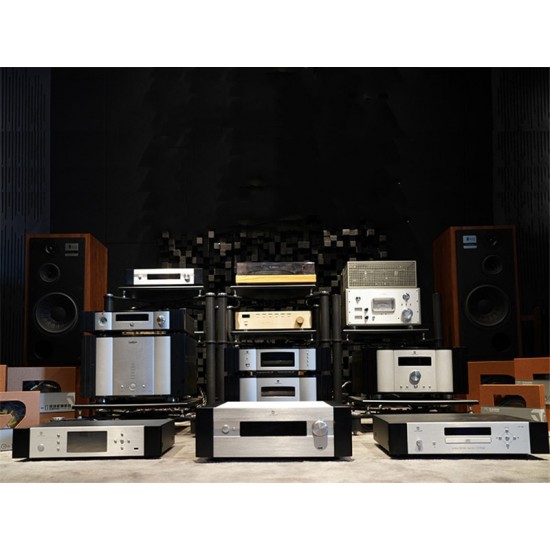 Winner/TY-1CD HI-end CD CD player SACD WAV HDCD player Fully balanced output 20Hz-20khz 110V/220V