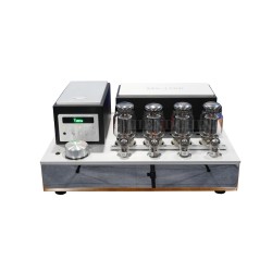 Yaqin MS-110B Vacuum Tube Home Amplifier SRPP Circuit KT88-98 Class AB1   2*50W 110V 220V