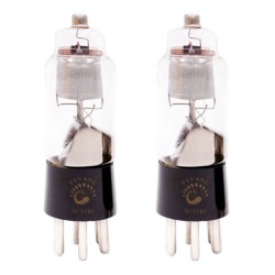 T-040 PSVANE WE310A Vacuum Tube Western Electric 1:1 Replica 310A Tubes for Vintage Hifi Audio Tube Amplifier DIY New Matched