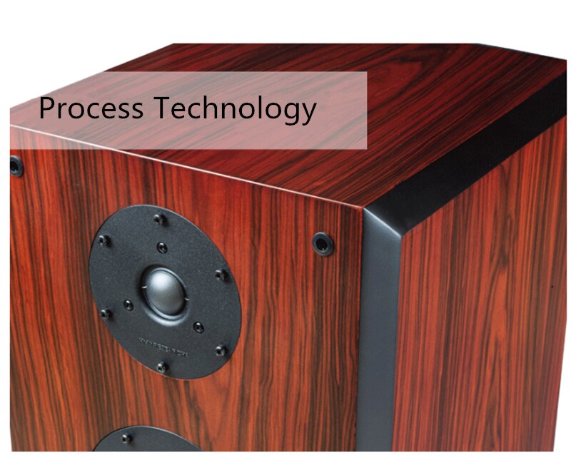 K1003-HiVi-SS10-Q1-speaker-10-inch-HiFi-speaker-sound-floor-box-5-ohm-1005001865670720