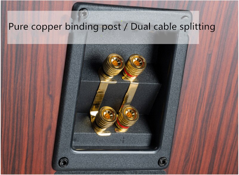 K1003-HiVi-SS10-Q1-speaker-10-inch-HiFi-speaker-sound-floor-box-5-ohm-1005001865670720