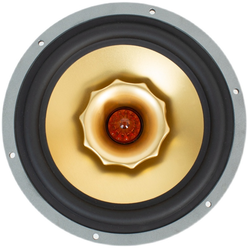 LS-23-Lii-Song-65-Inch-Lioda-Full-Range-Loudspeakers-double-backpack-speaker-1-pair-3256804221121601