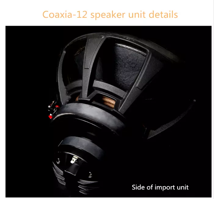 M-044-12-inch-coaxial-HIFI-speaker-passive-Loudspeakers-pk-Tianlang-speaker-Stalin-1005001829879695