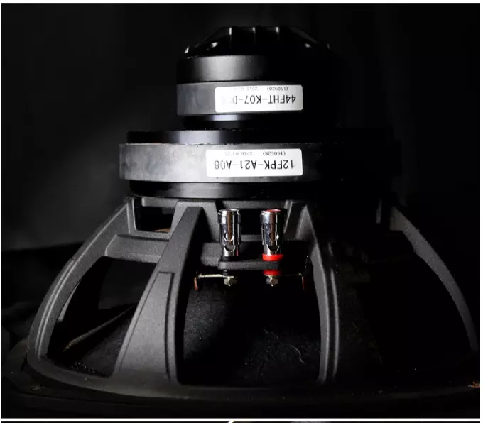 M-044-12-inch-coaxial-HIFI-speaker-passive-Loudspeakers-pk-Tianlang-speaker-Stalin-1005001829879695