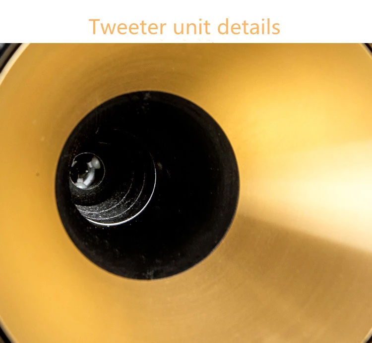 M-044-12-inch-coaxial-HIFI-speaker-passive-Loudspeakers-pk-Tianlang-speaker-Stalin-1005001829879695