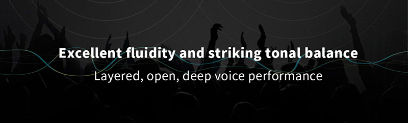 MUSICIAN-PEGASUS-32Bit1536kHz-24Bit-R2R-DAC-6BIT-DSD-Balanced-Resistance-DAC-Support-DSD1024-SPDIF-Receiving-Scheme-R2R-Decoder-3256804438572125