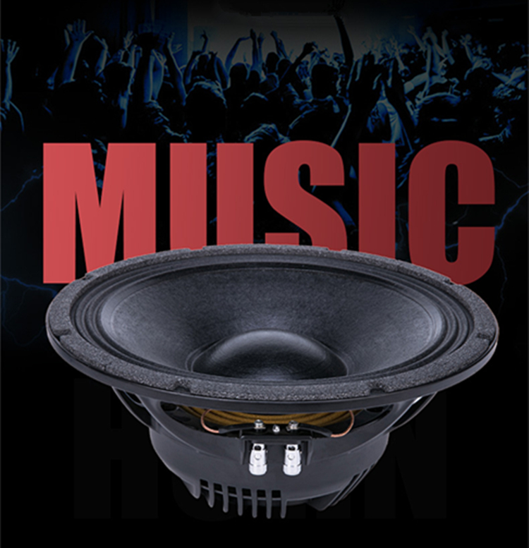 PA-021-Professional-Audio-12-Inch-Middle-Bass-Speaker-Unit-75mm-NdFeB-8-ohm-350W-99dB-4000094813557