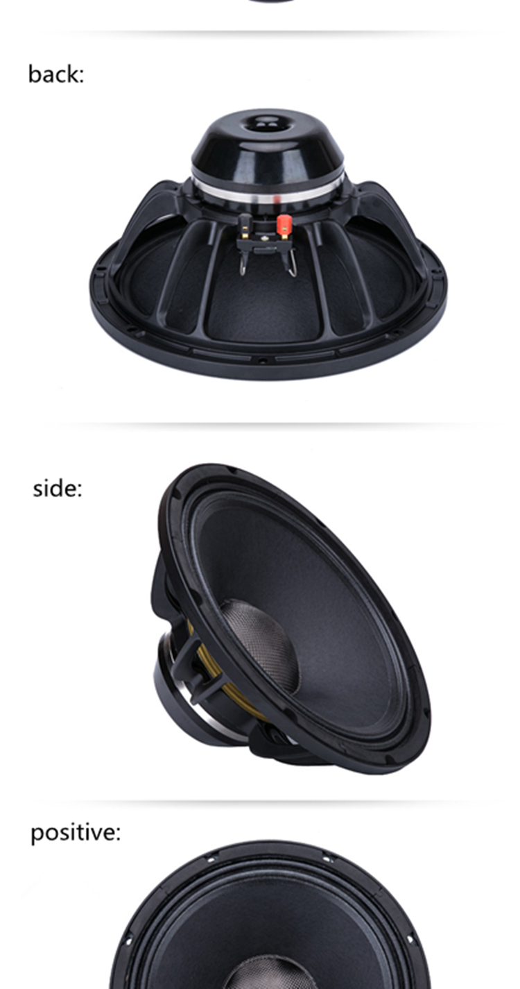 PA-023-Professional-Audio-12-Inch-Middle-bass-Woofer-Speaker-Unit-75mm-NdFeB-131-8-ohm-350W-975dB-4000094849836