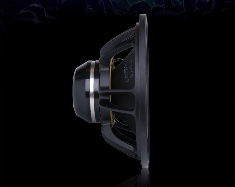 PA-023-Professional-Audio-12-Inch-Middle-bass-Woofer-Speaker-Unit-75mm-NdFeB-131-8-ohm-350W-975dB-4000094849836