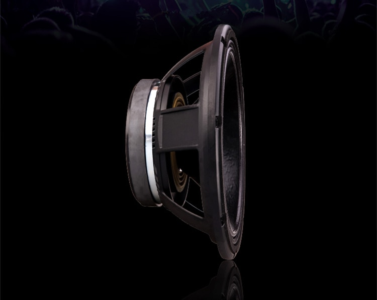 PA-025-Professional-Audio-12-Inch-Middle-bass-Woofer-Speaker-Unit-75mm-NdFeB131-8-ohm-350W-985dB-4000095146782