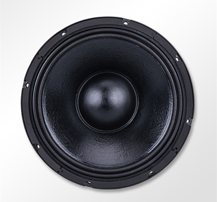 PA-027-Professional-Audio-12-Inch-Middle-bass-Woofer-Speaker-Unit-100mm-220-ferrite-8-ohm-500W-96dB-4000095480057