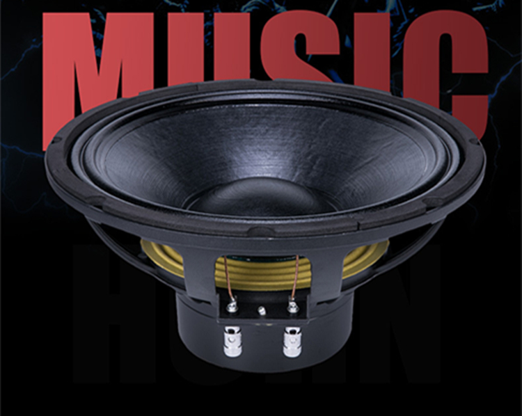 PA-028-Professional-Audio-12-Inch-Middle-bass-Woofer-Speaker-Unit-100mm-NdFeB-97-magnetic-8-ohm-500W-975dB-4000095472500