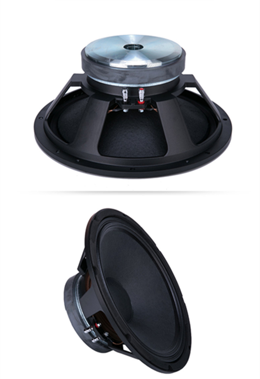 PA-038-Professional-Audio-12-Inch-Middle-Bass-Woofer-Speaker-Unit-65mm-Ferrite-156-Magnet-8-ohm-250W-98dB-4000103881700