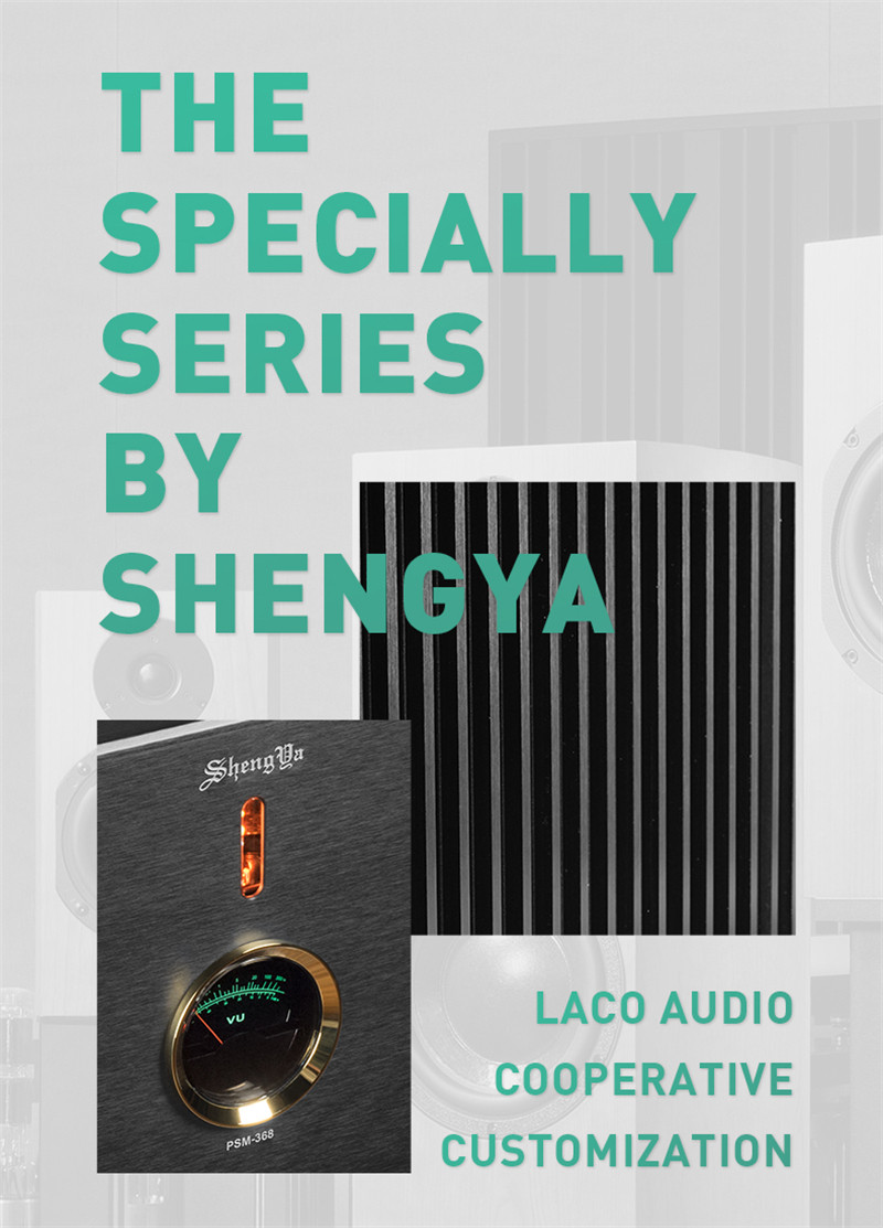 Shengya-PSM-368-Mono-Fully-Balanced-Gallstone-Hybrid-Class-A-Power-Amplifier-24XHigh-Power-Transistor-HIFI-Class-AGain-Working-3256804506526024