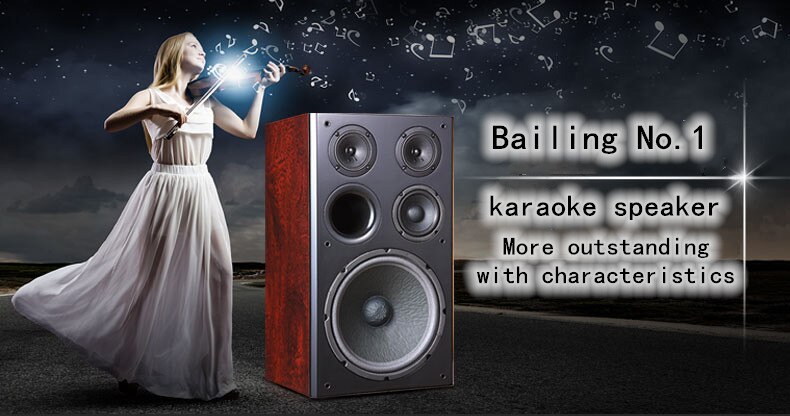 WinnerBL-1-Hi-End-bookshelf-speaker-Three-way-frequency-professional-KTV-family-K-song-speaker-6-ohm-1005001482775802