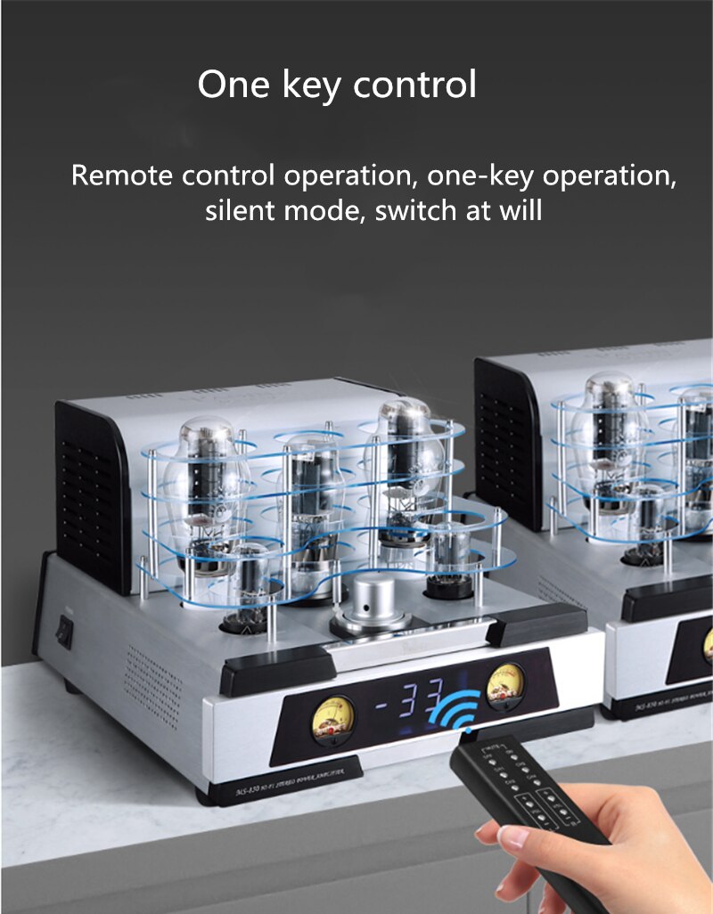Y-094-YAQIN-MS-850-Tube-Tube-Amplifier-HiFi-Split-Fever-Home-Audio-Amplifier-300B-Tube-24W24W-8-Ohm-142W-1005001909820396