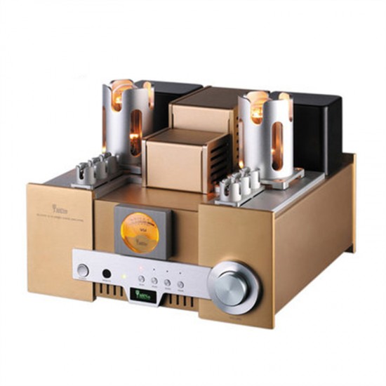 K-027 Yaqin MS-650B Integrated Vacuum Tube Amplifier SRPP Circuit 845*2 Single-ended Class A 2*15W  110V 220V