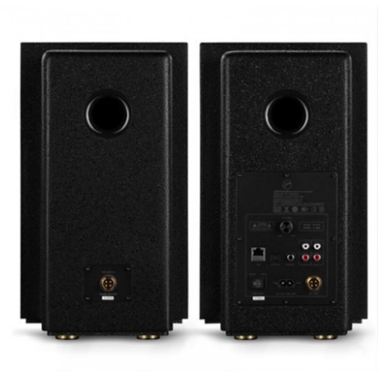 T200MKII+ Wireless Active Speakers Hi-Fi Active Speaker with Blue-tooth Wi-Fi 2-way 4th-order 5.25\